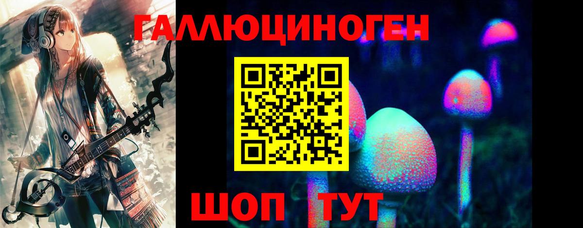 Псилоцибиновые грибы Psilocybine cubensis Липецк